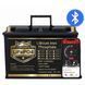 Акумулятор PUPVWMHB LiFePO4 12 В 100 А&middot;год. з Bluetooth, зарядкою, BMS для резервного живлення 17118 фото 1