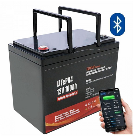 LiFePO4 акумулятор Fuyue 12V 100Ah з Bluetooth та BMS для ДБЖ та інверторів 30553 фото