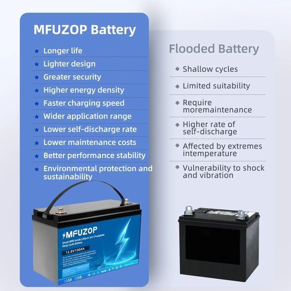 LiFePO4 12V 100Ah Акумулятор MFUZOP 1280Wh, 100A, BMS 17090 фото