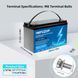 LiFePO4 12V 100Ah Акумулятор MFUZOP 1280Wh, 100A, BMS 17090 фото 2